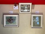 IMG_5575.jpeg